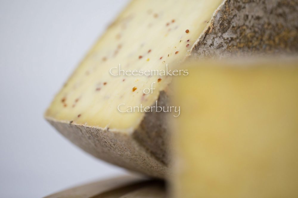 Ashmore Mustard Cheese