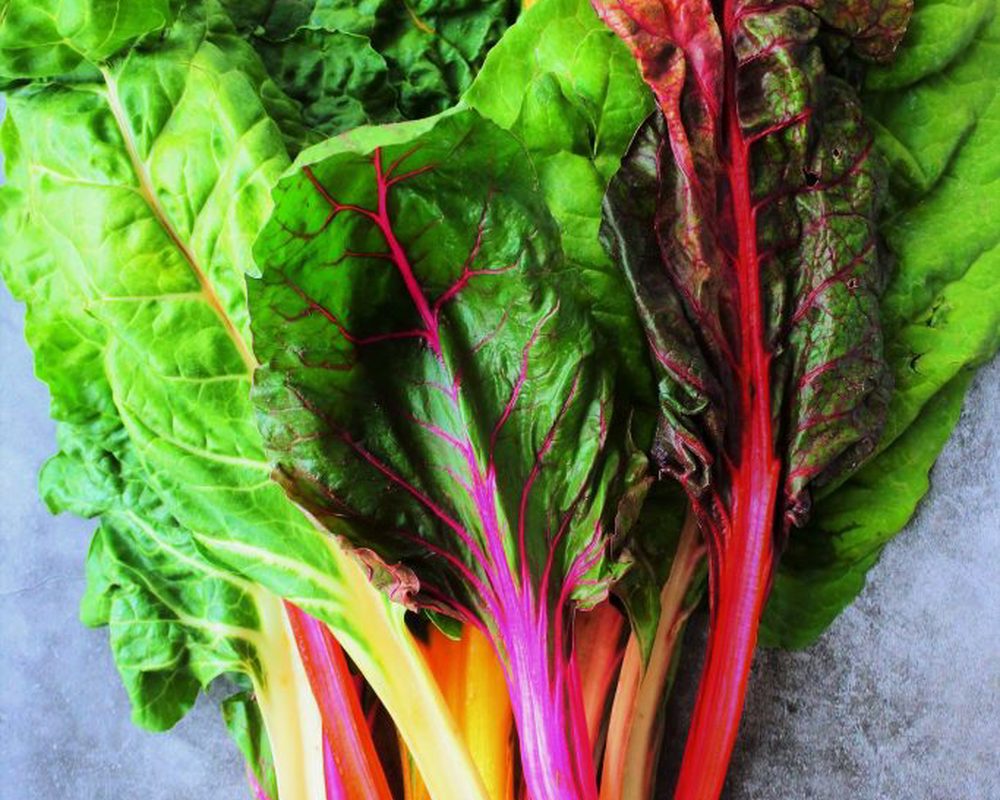 Chard Rhubarb Rainbow