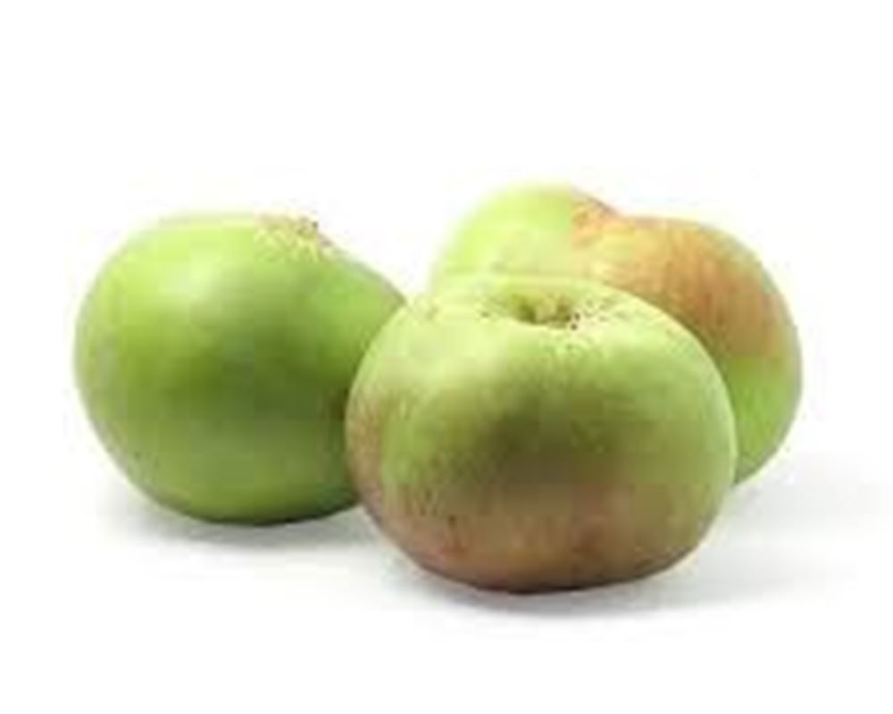 Apple Bramley