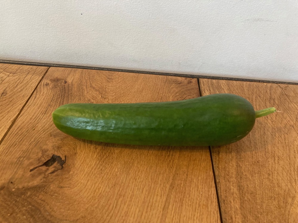 Cucumber