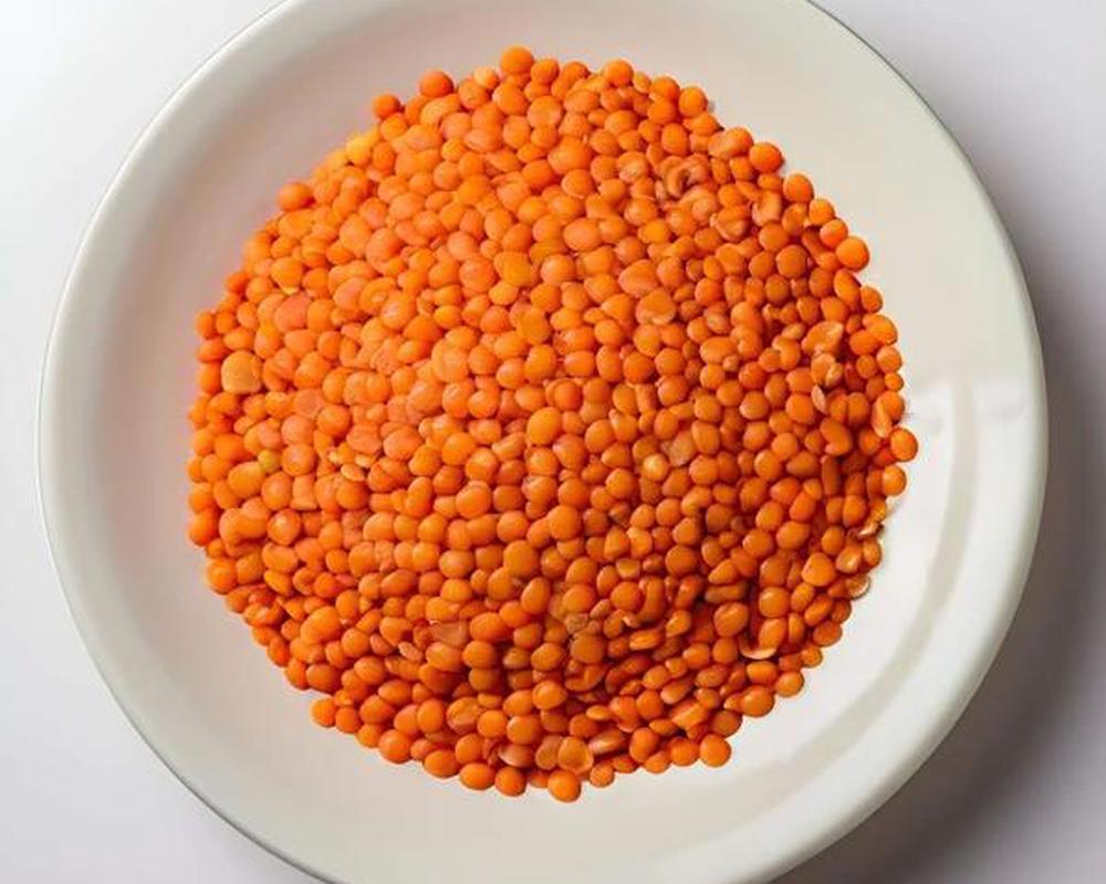 LENTILS - Red Split 100g