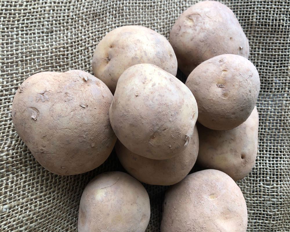 Organic Potatoes (1.4kg)