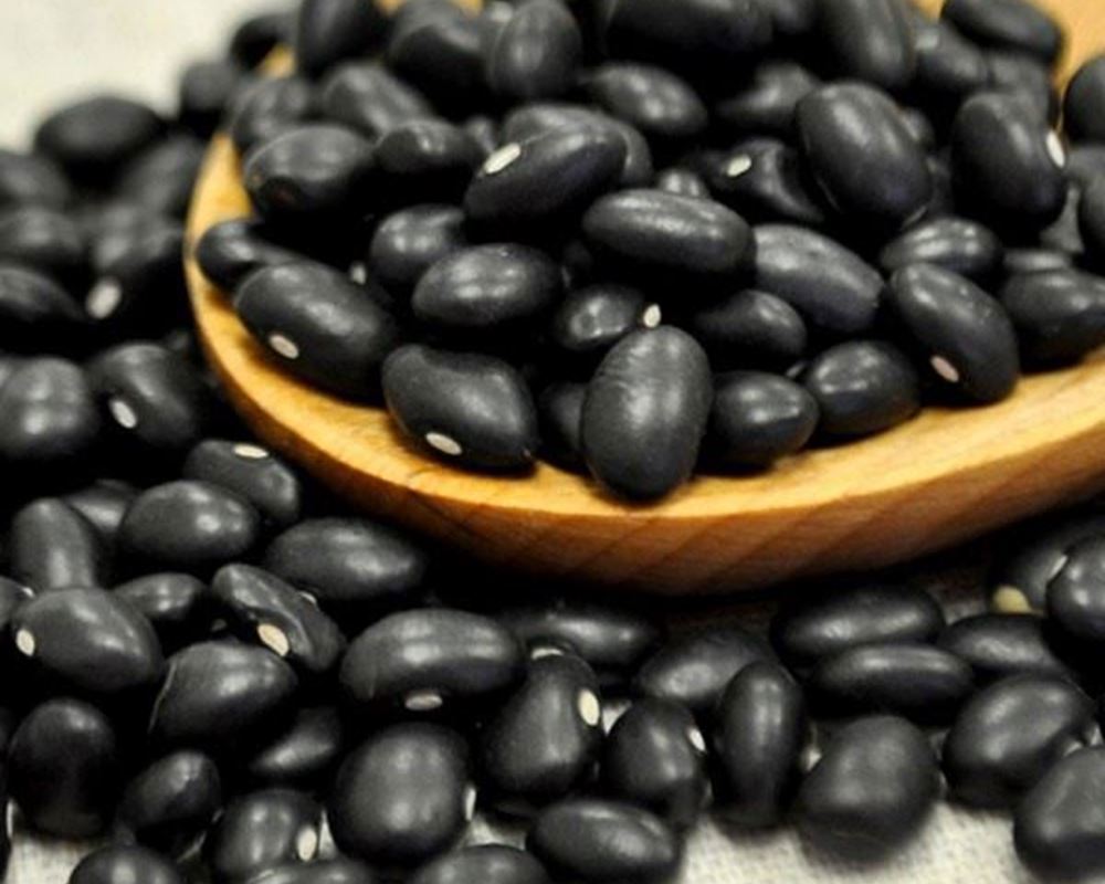 Bean Organic: Black Turtle - HG