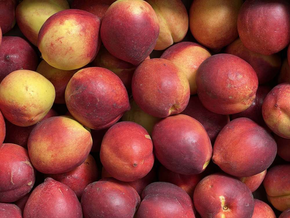 Organic Nectarine (600g)