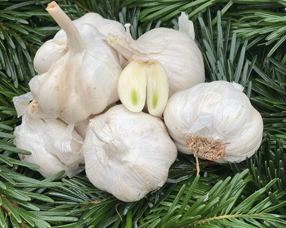 Garlic, Dried -100g - approx 3 - Organic