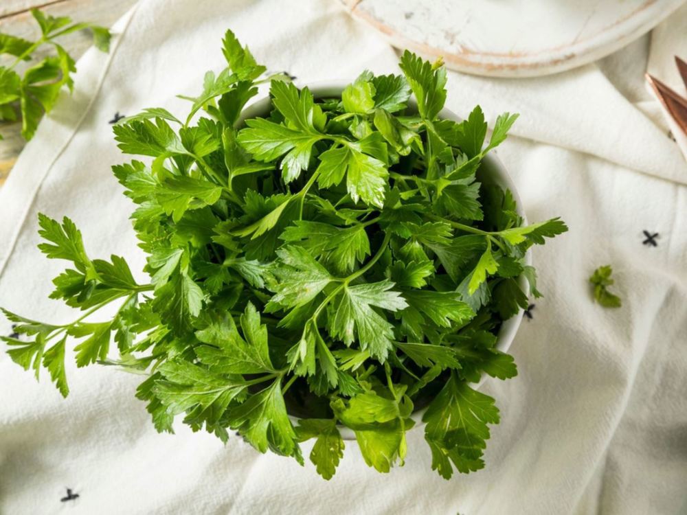 Fresh Parsley - Flat