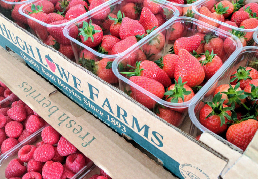 Strawberries EKG