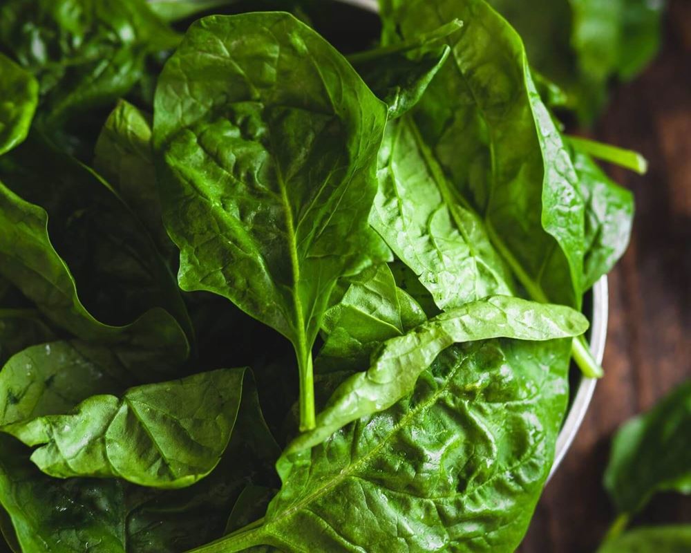 Spinach- True