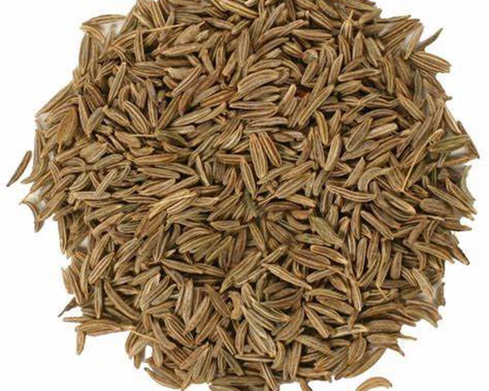 Hadau cwmin/Cumin Seeds 20g