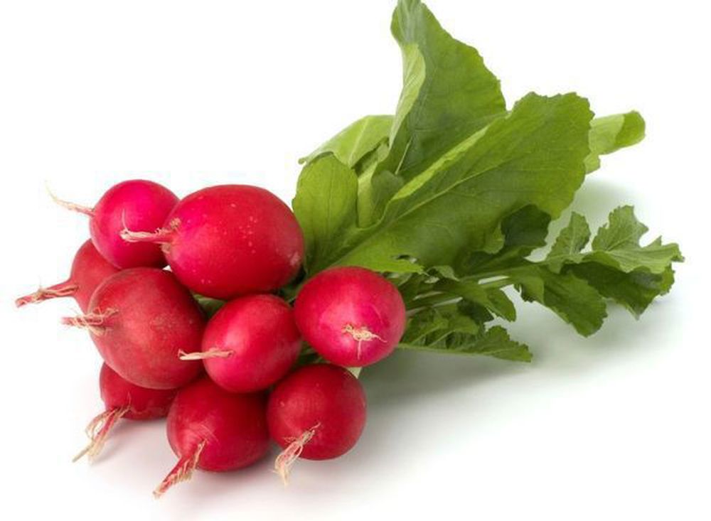 Radish