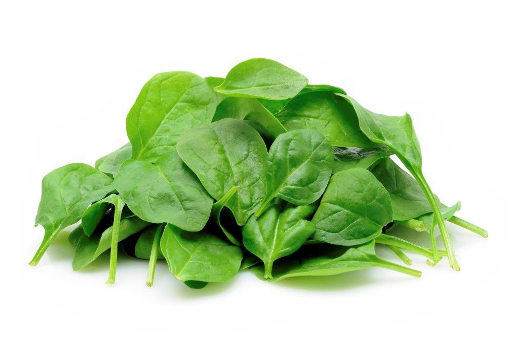 vSpinach Baby Leaf