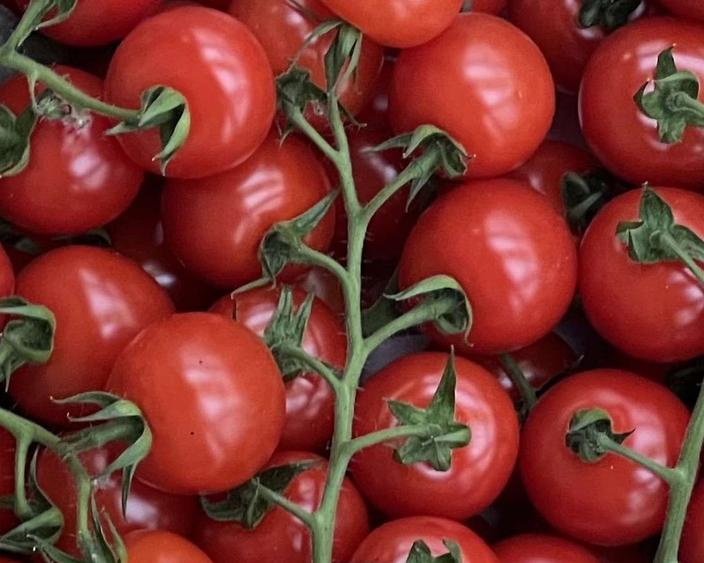 Tomatoes - Cherry Vine Honeydrop