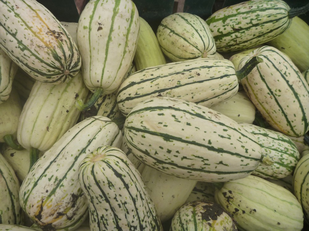 Squash, mini (400g approx)