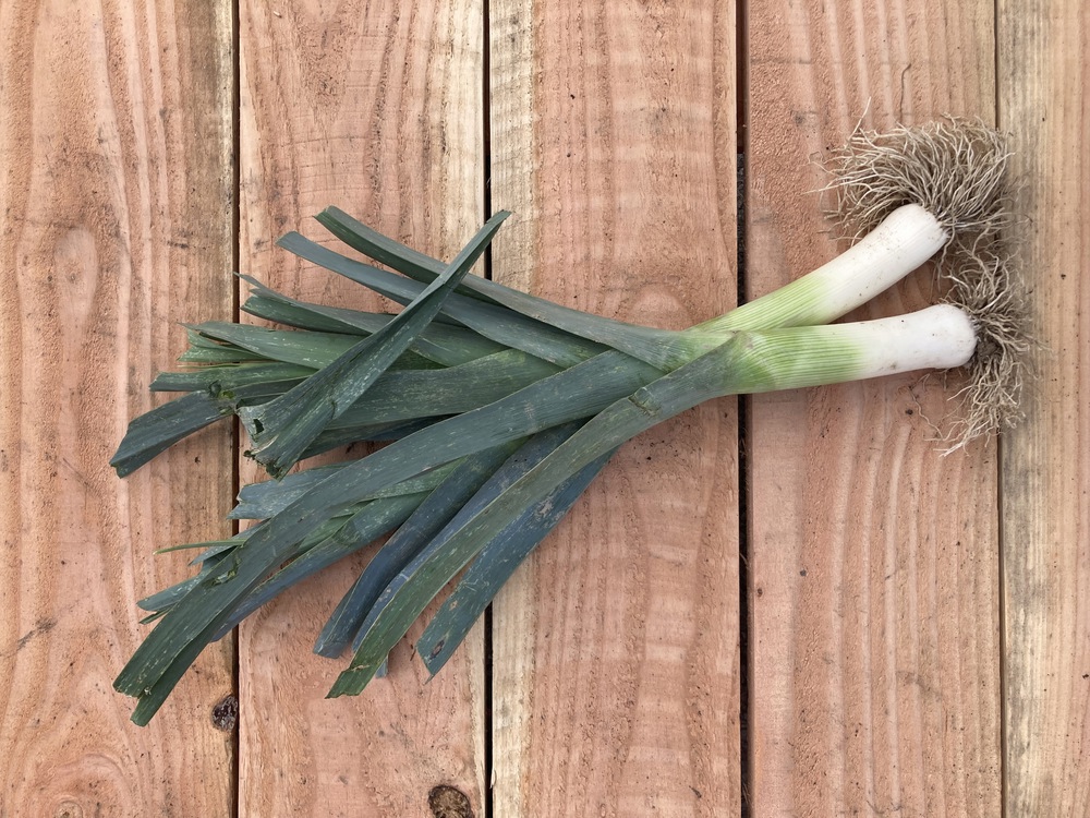 Leeks (400g)