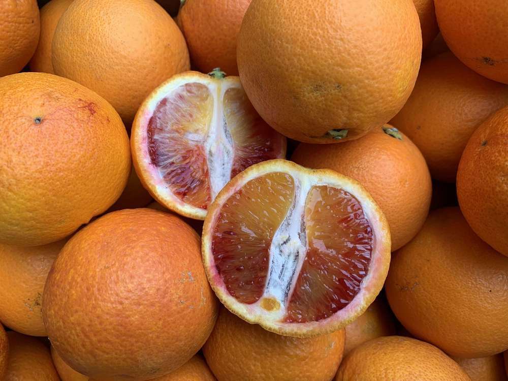 Organic Tarocco Blood Oranges