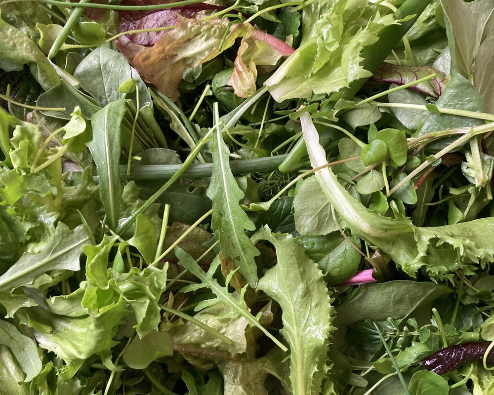 OrganicLea salad (100g)