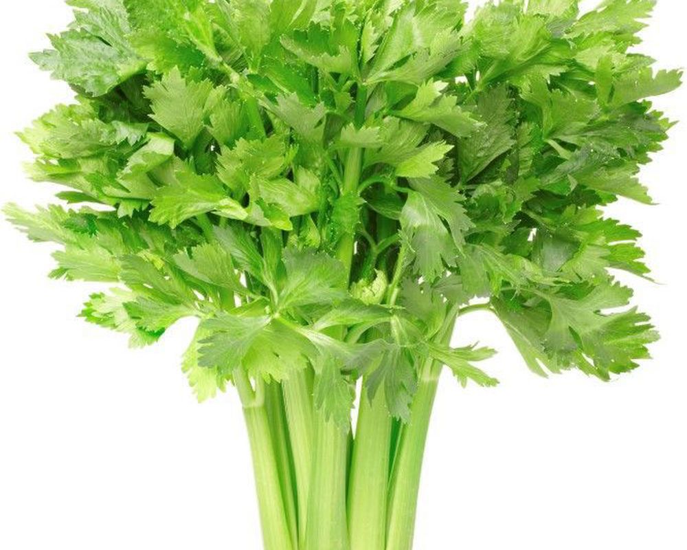 vCelery