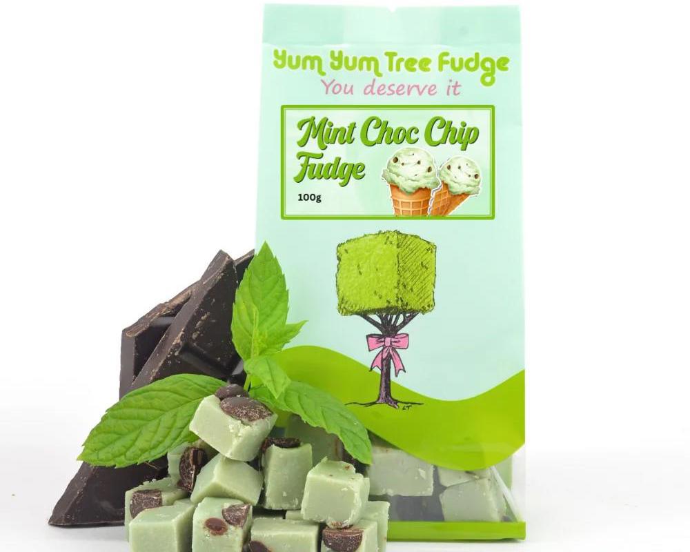 Mint Chocolate Chip Fudge