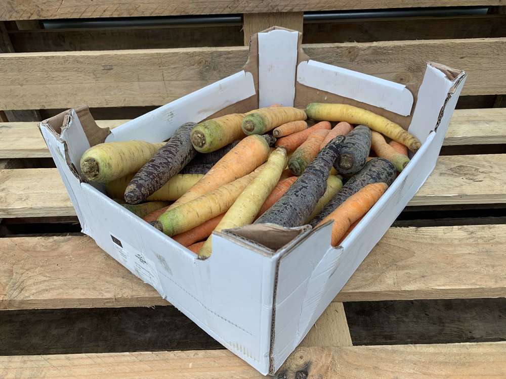Organic Carrot Rainbow Washed
