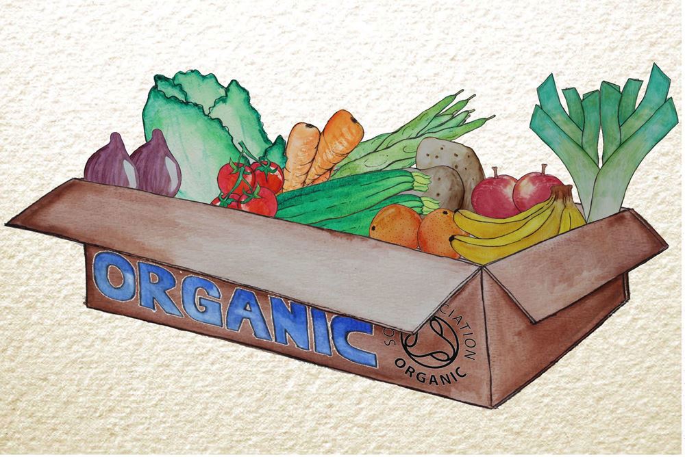 Medium Organic Mixed Box