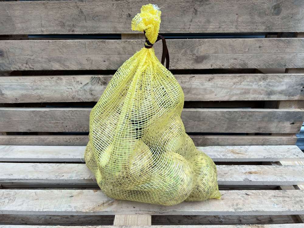 Organic Celeriac Small