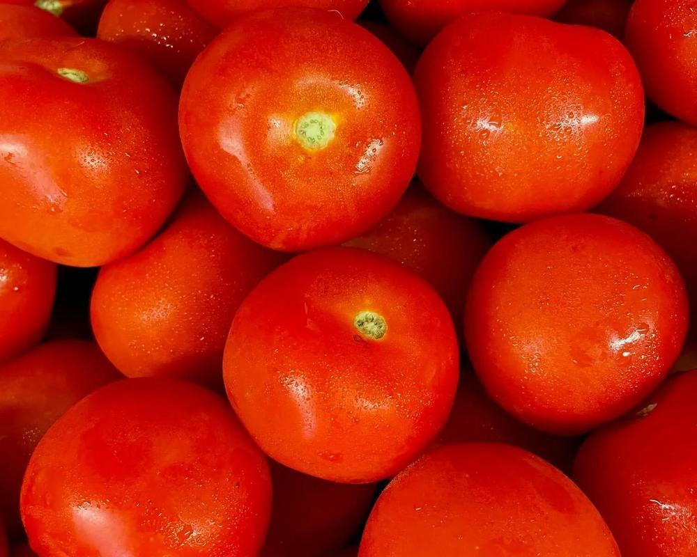 Organic Loose Round Tomatoes