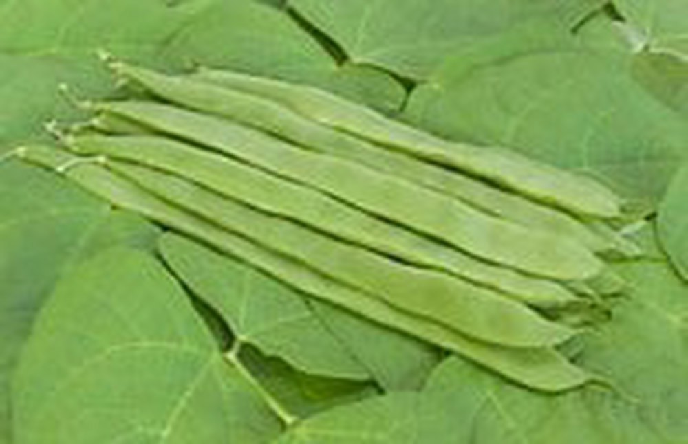 Helda Beans