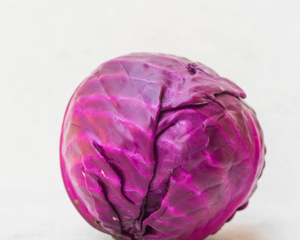 Cabbage Red