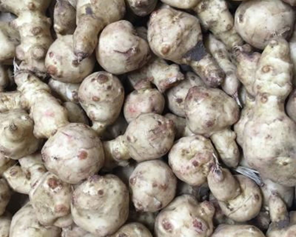 Jerusalem Artichokes - Organic UK