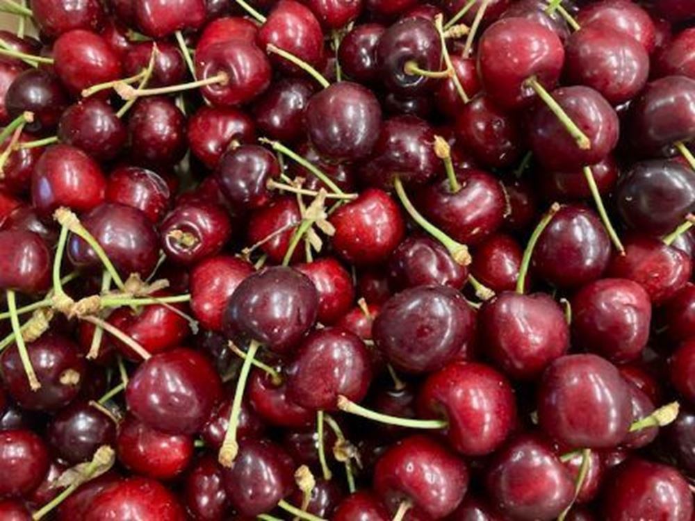 Cherries - EU