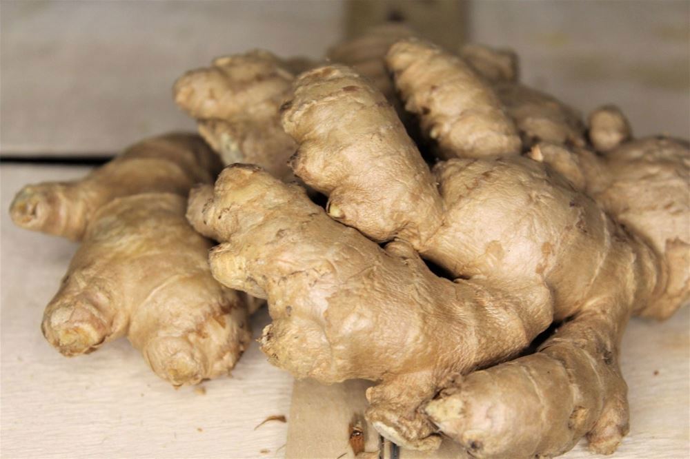 Organic Ginger (Peru) 150g