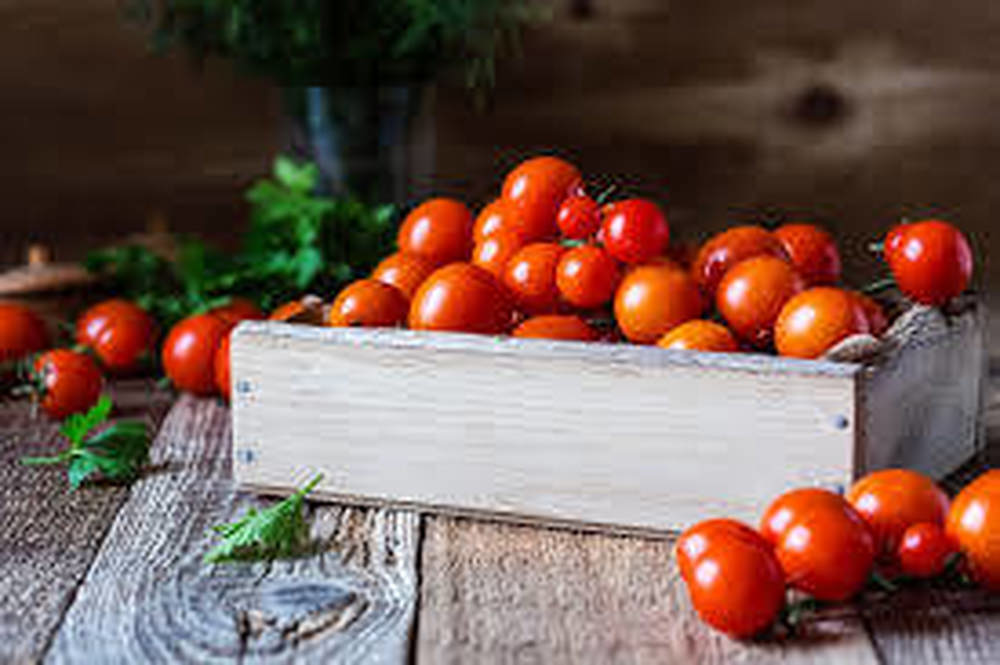 Grape Tomatoes