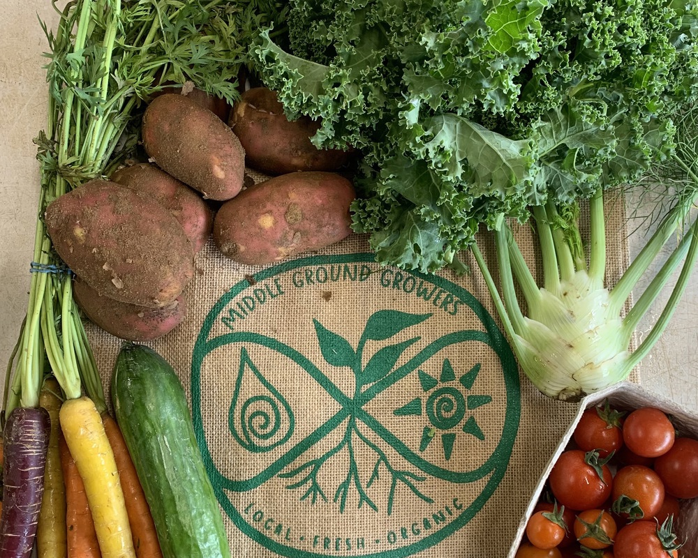 Small Organic Veg Bag