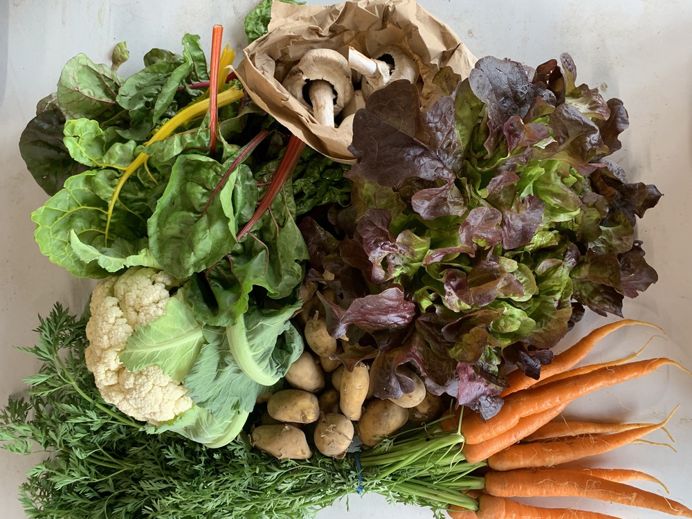 Small Organic Veg Bag