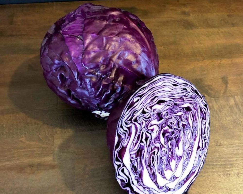 Cabbage Red