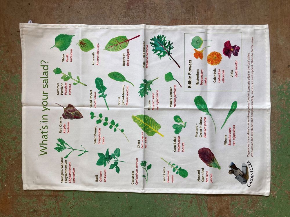 Tea Towel (What's in your Salad? )