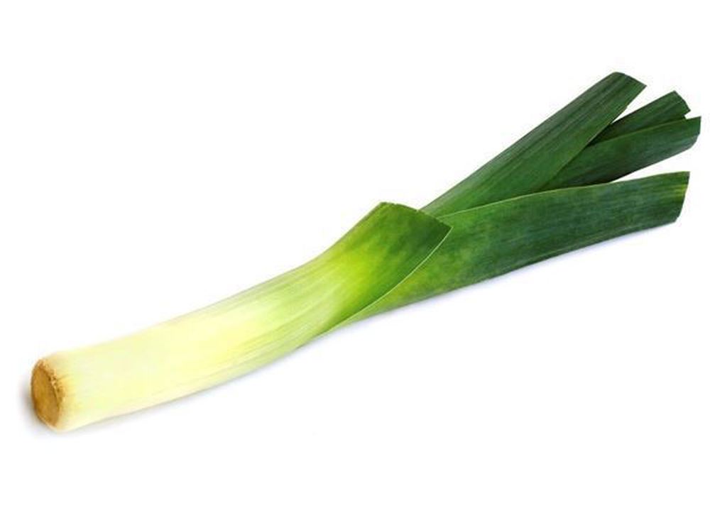 Leek (SINGLE)
