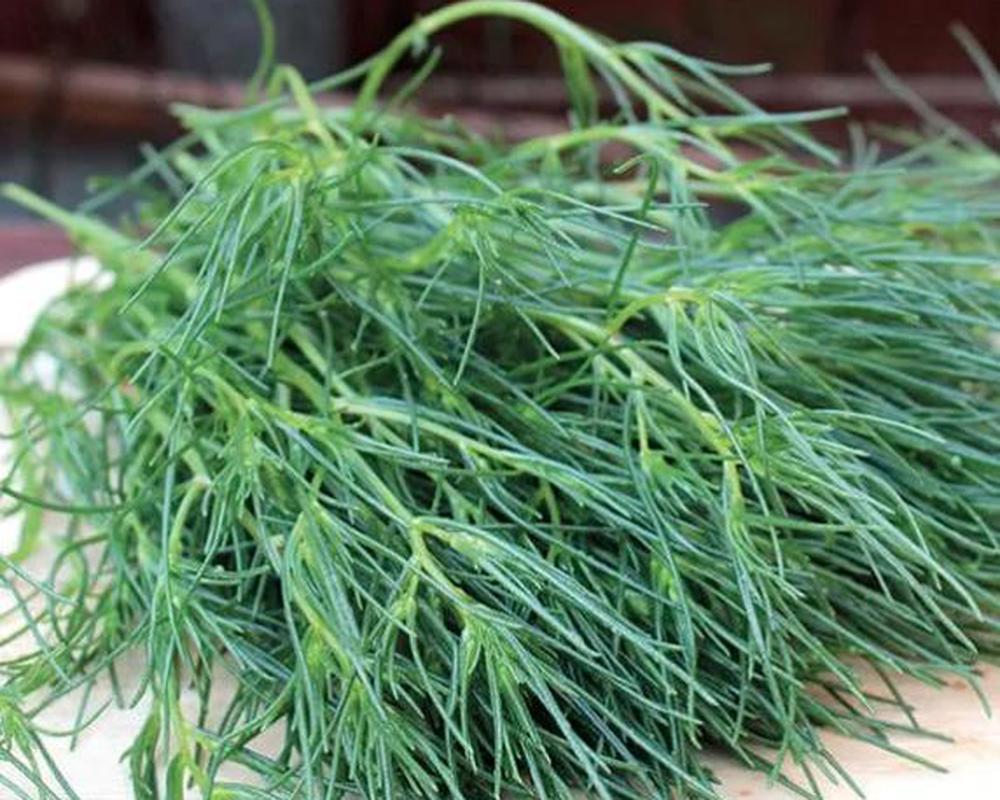 Agretti