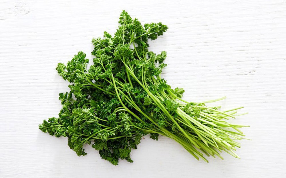 Parsley Curly Bunch