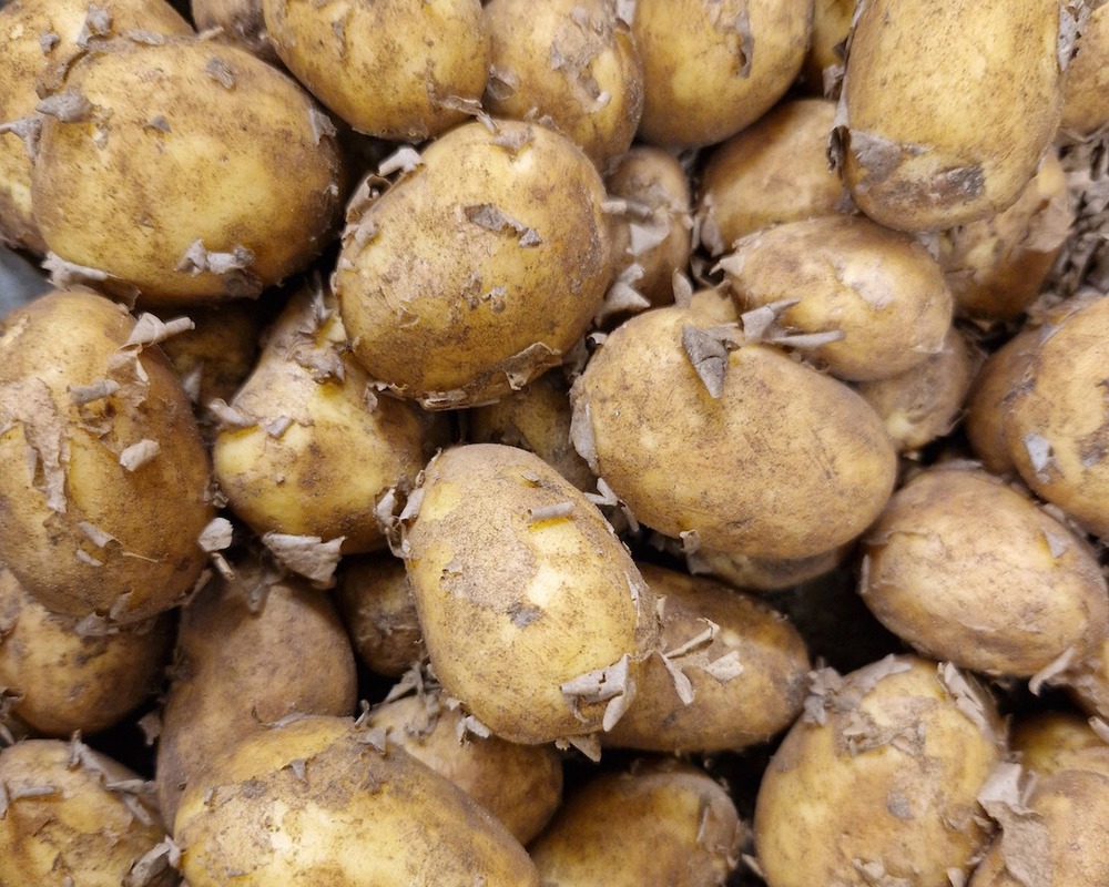 1kg Spuds