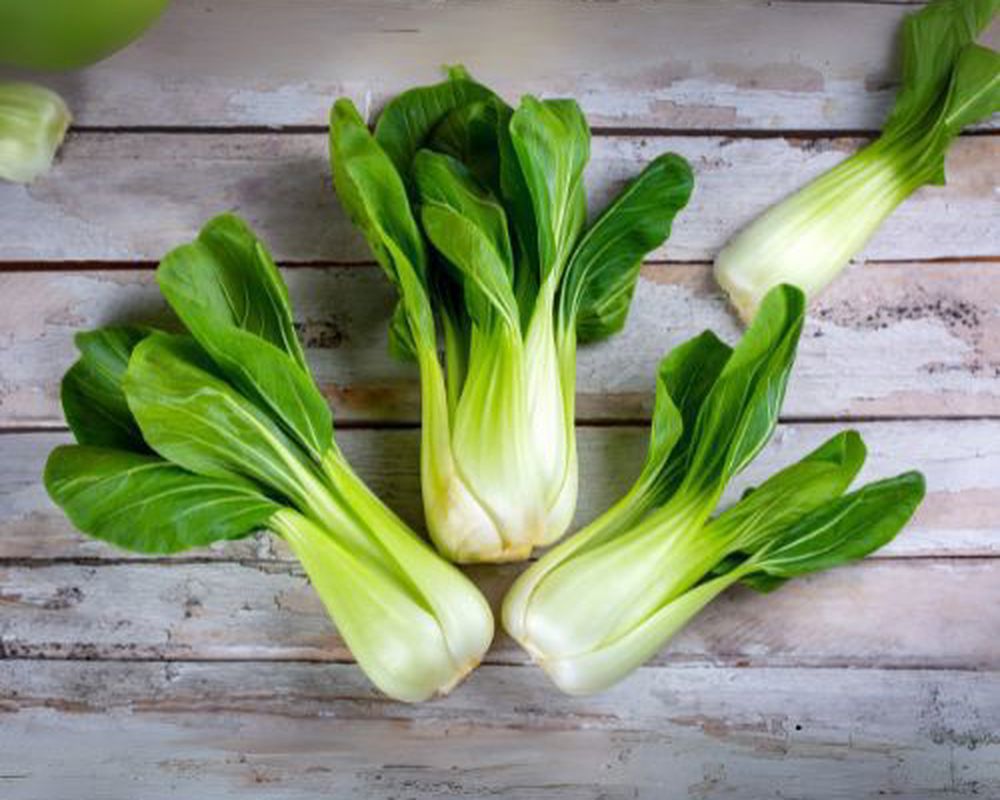 Pak Choi