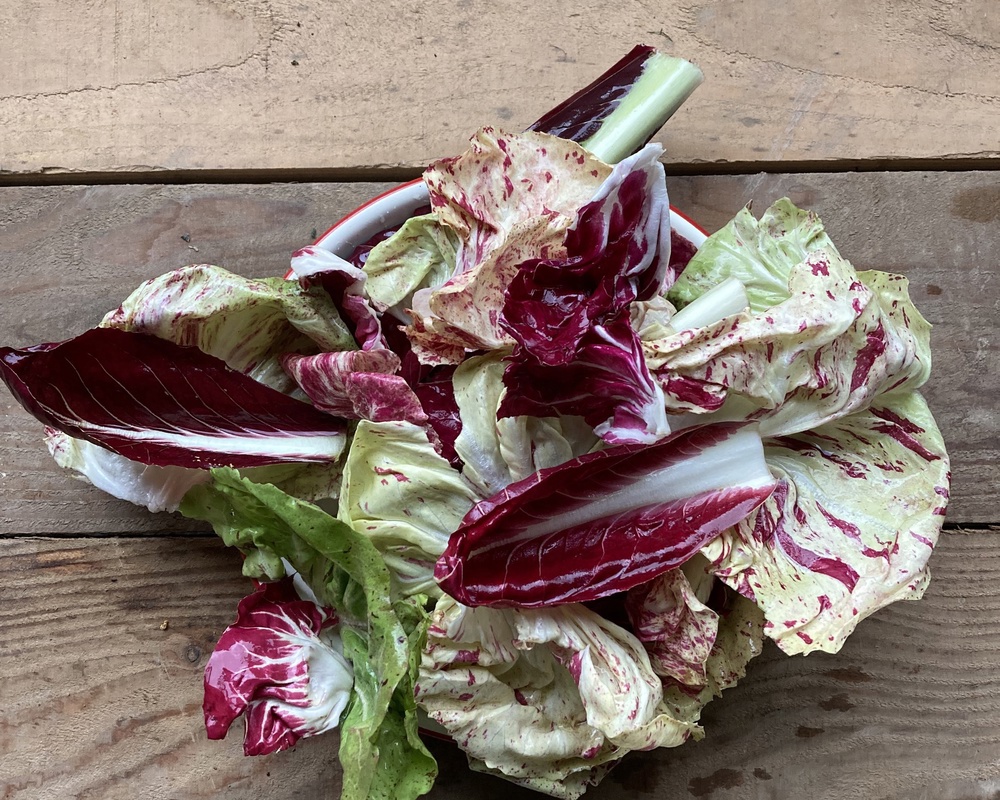 Radicchio mix