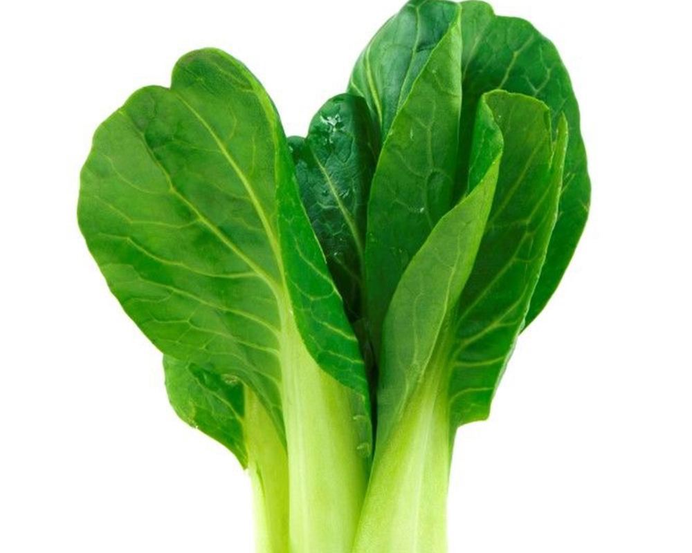 Bok Choy Organic