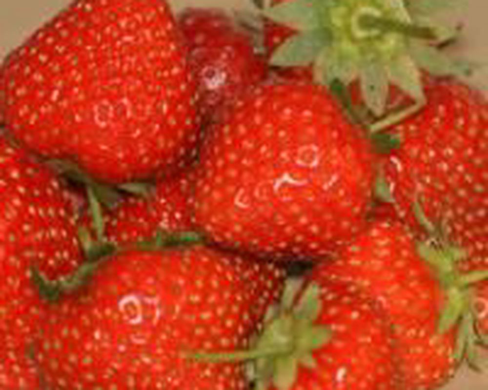 Strawberries Special Offer - 2 x 200g
