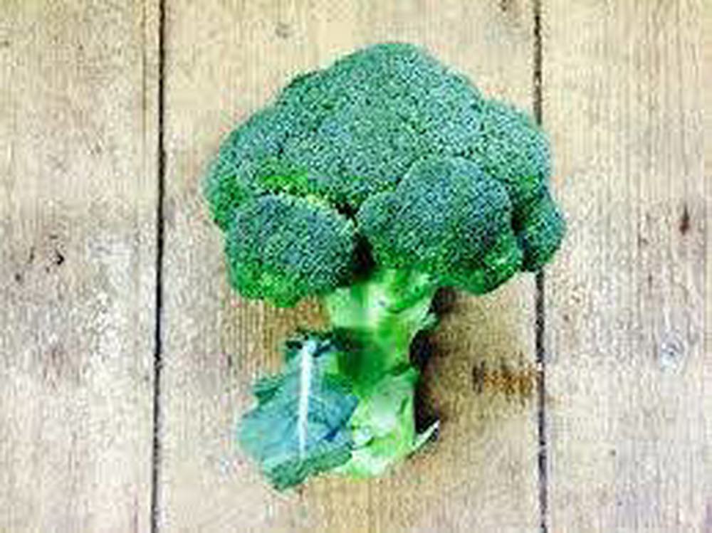 Organic Broccoli