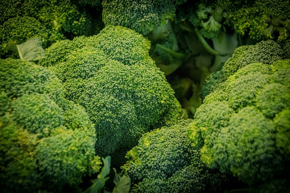 Organic UK Broccoli