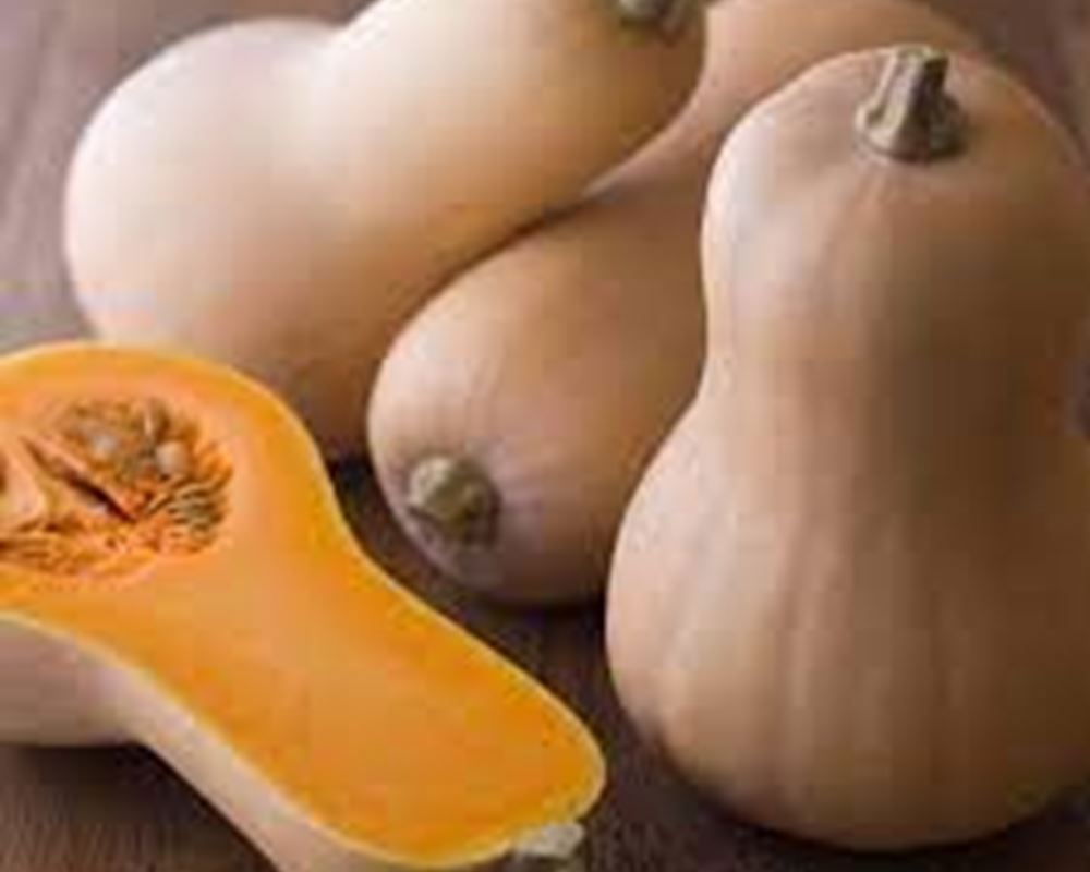 Squash - Butternut (Small)