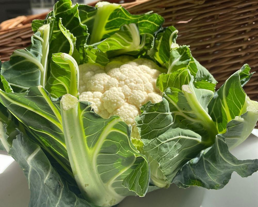Cauliflower