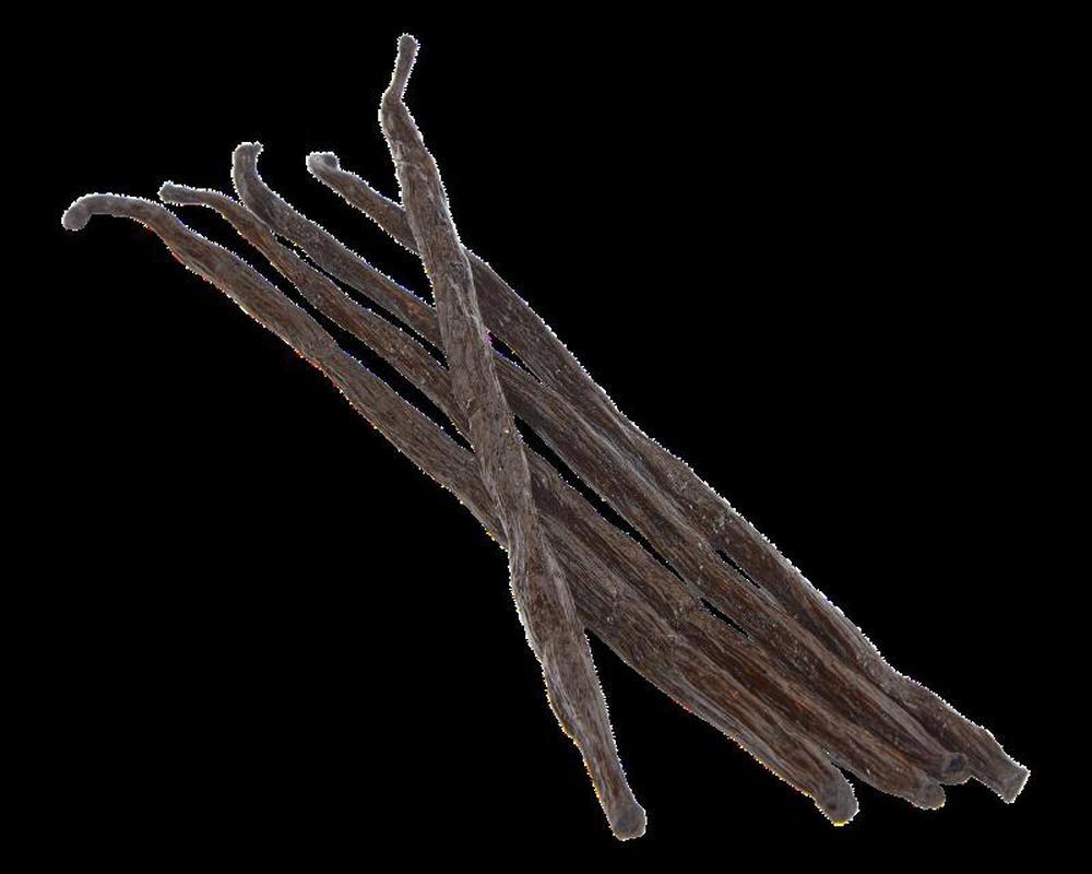 4 Gourmet Bourbon Vanilla Pods