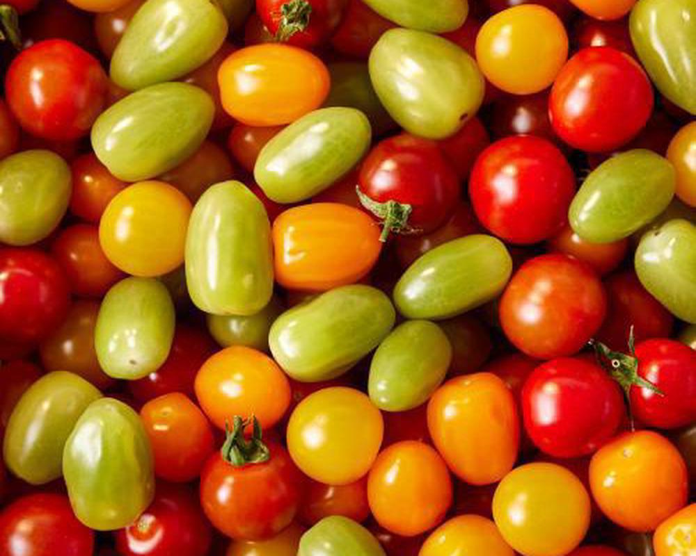 vTomatoes Cherry Mix IOW